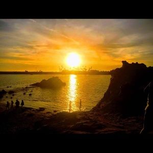 Meet your Posher, Calli